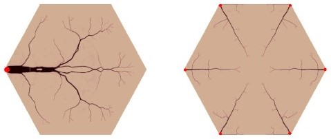 Figura de un exagono tras aplicarse el metodo de TOP